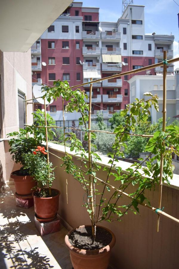 New Apartment Zoe Σκόδρα Εξωτερικό φωτογραφία